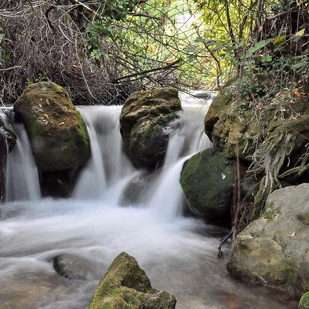 Affittacamere Casa La Rosa P.N. Sierra De Grazalema Benamahoma Esterno foto